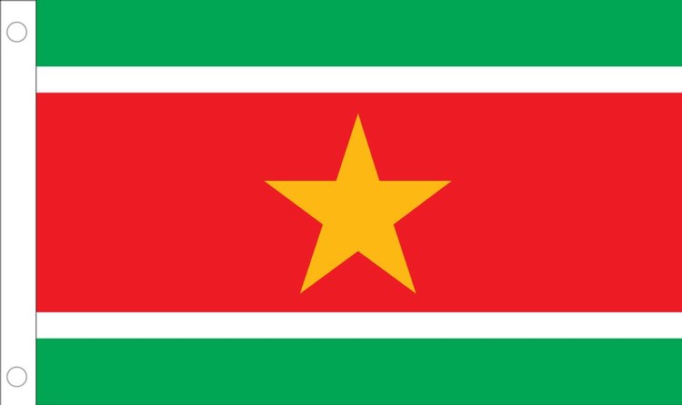 Suriname Flag - 3' x 5' - Nylon 2