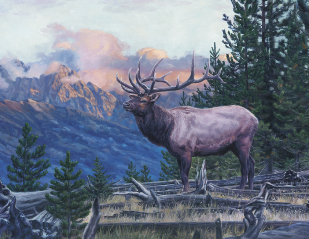 Good Value™ Wildlife Canvas - Stapled Calendar 9