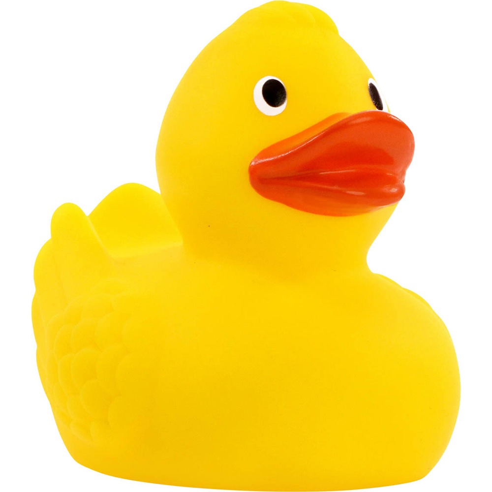 Duck With Wings 4