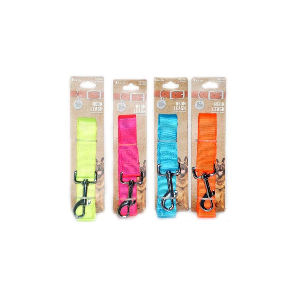 Large Leashes - Assorted 66" 2