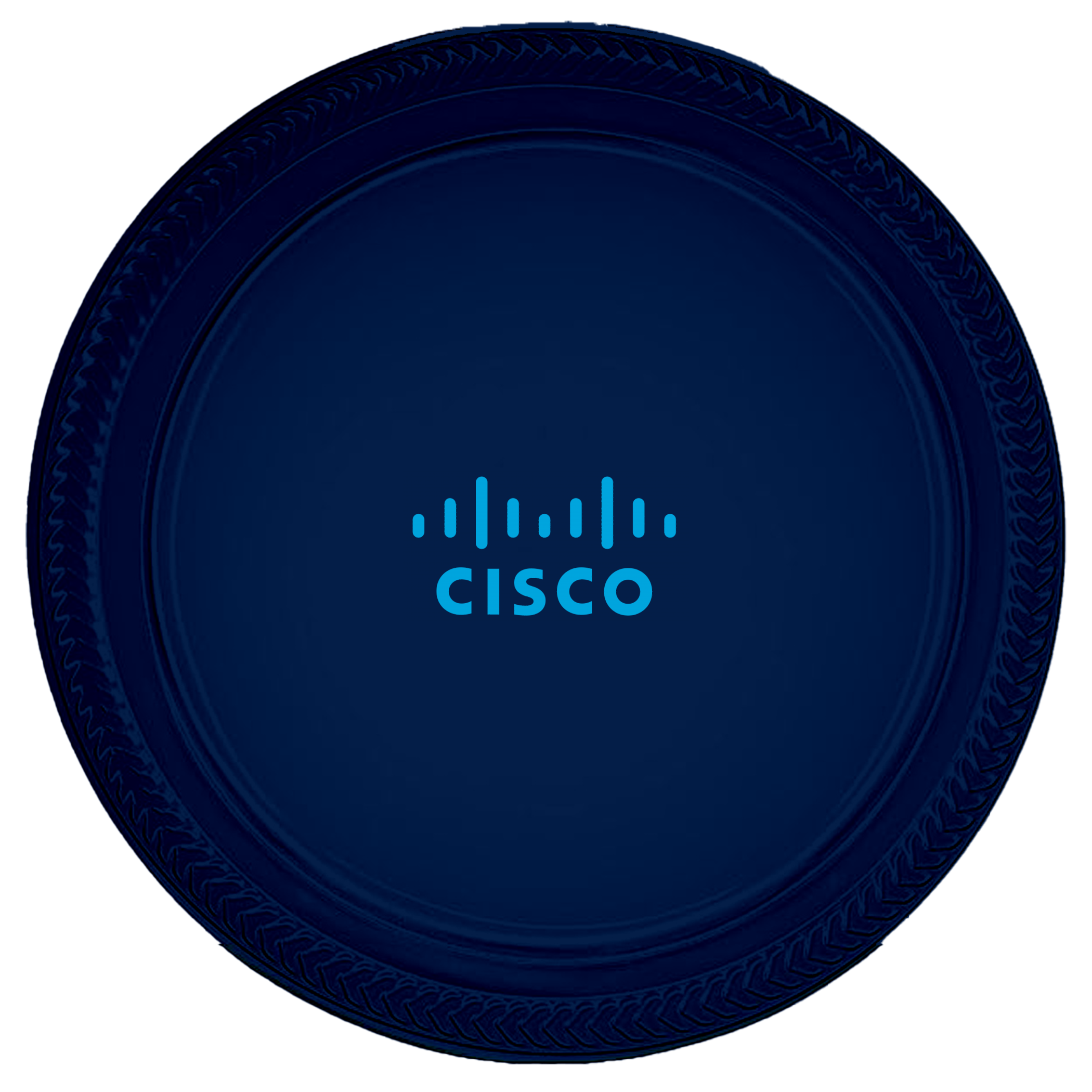 10.25" Colorware Plastic Plate