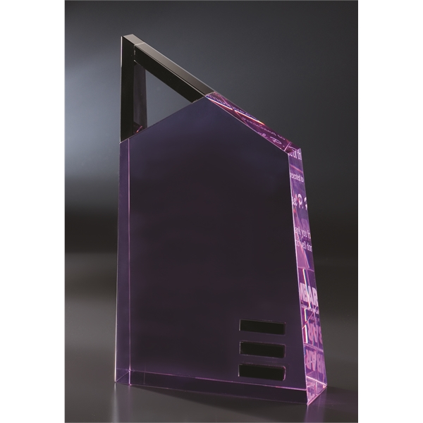 Technique Award 2