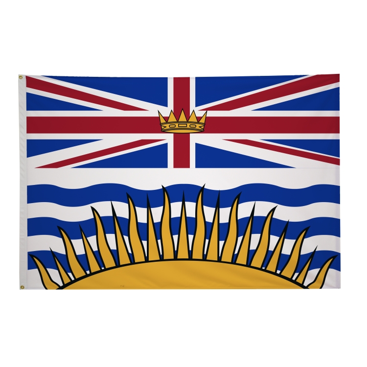 4' x 6' International Flags 303