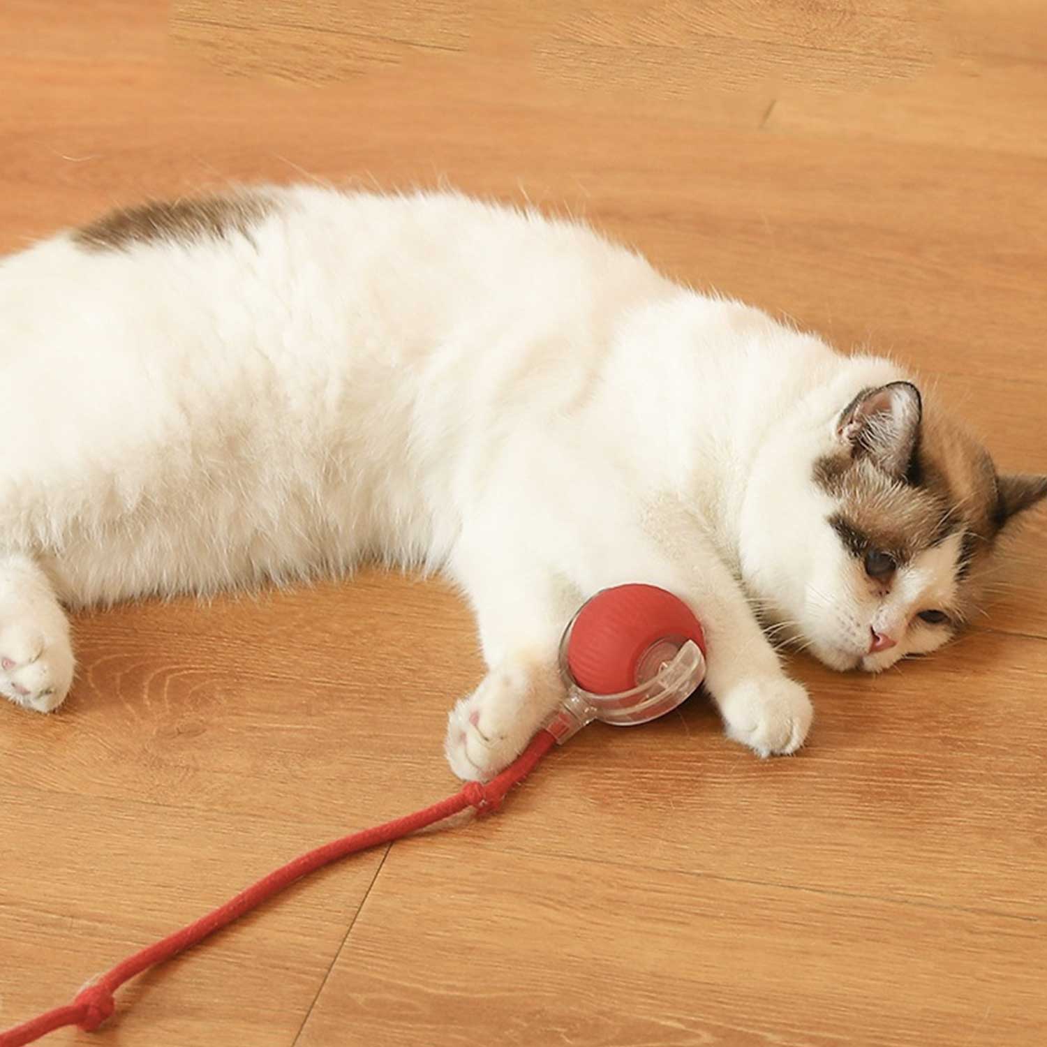 Smart Auto Dog Ball Chew Proof Self Play Pet Toy Cat Teaser 7