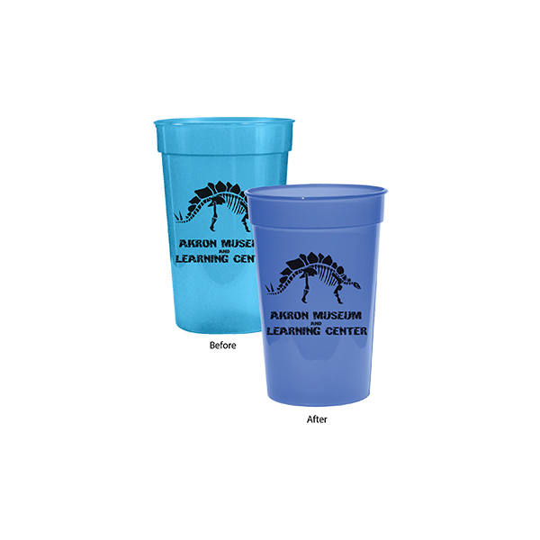 Sun Fun 17 oz. Stadium Cup 9