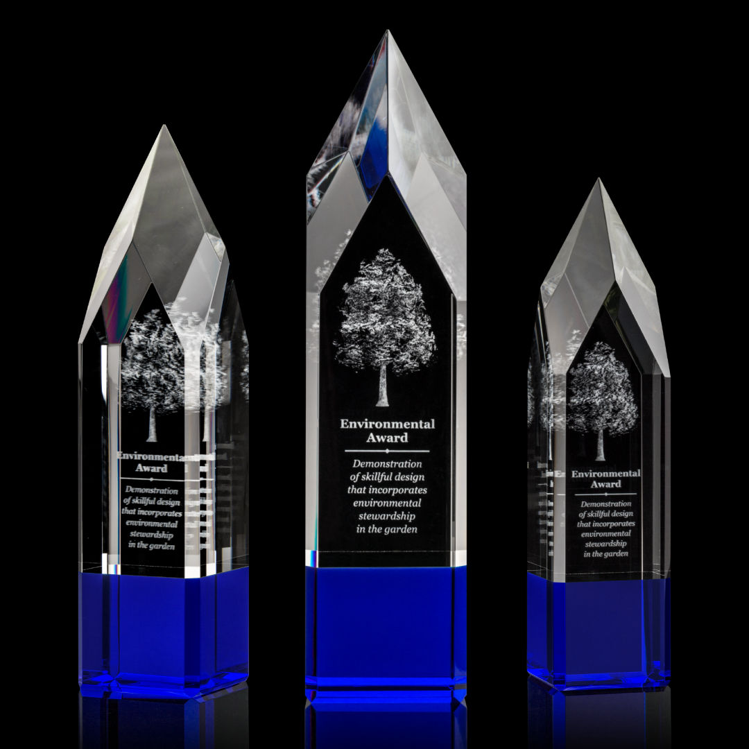 Coventry 3D Award - Blue