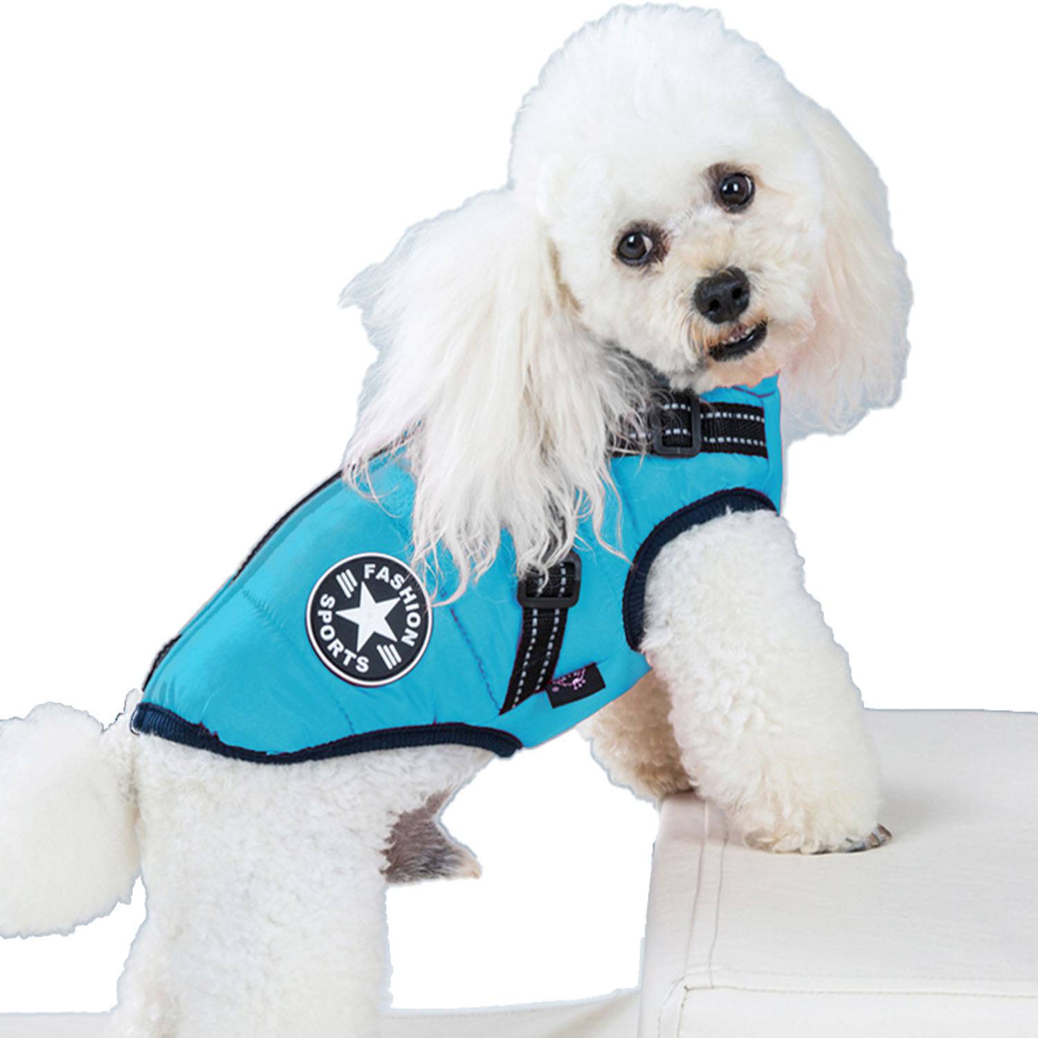 Cotton-Padded Dog Vest 7