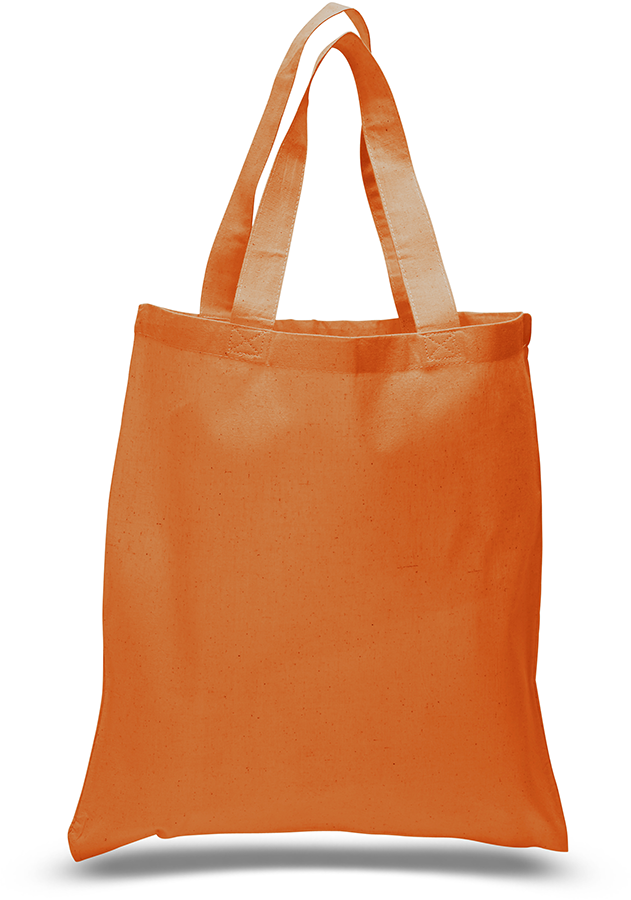 DailyMate Economical Everyday Tote Bag 17