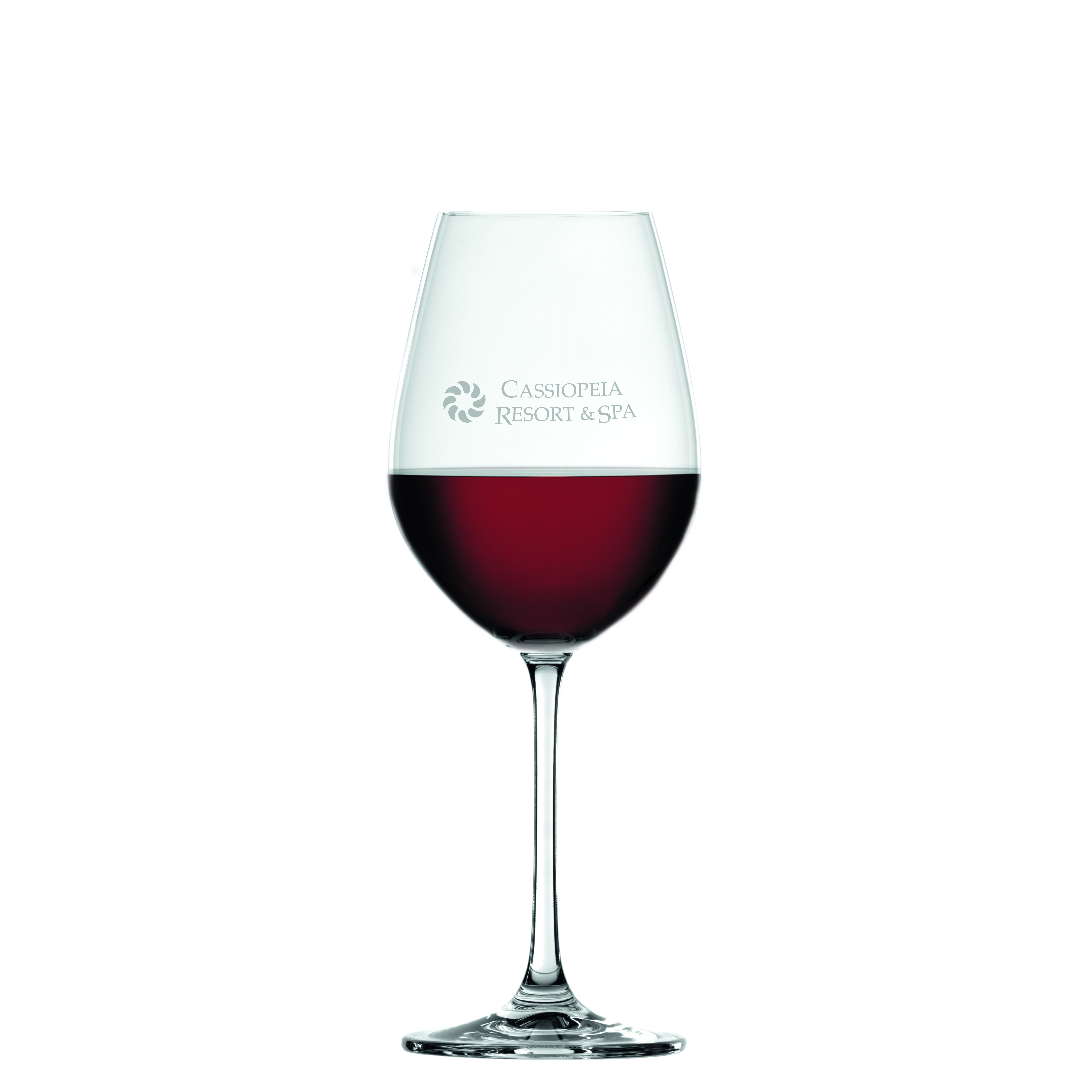 Spiegelau Salute 19.4 oz Red Wine Glass