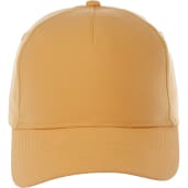 Unisex DOMINATE Ballcap 21