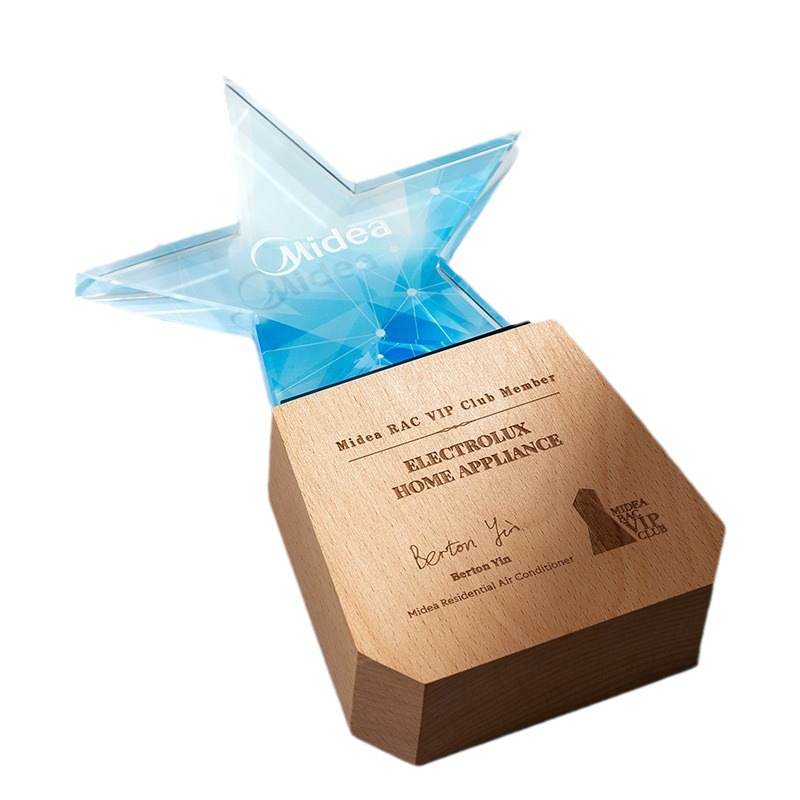Top Star Award
 8