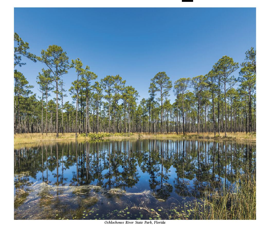 HotLine® Products Scenic America® Pocket Calendar 38