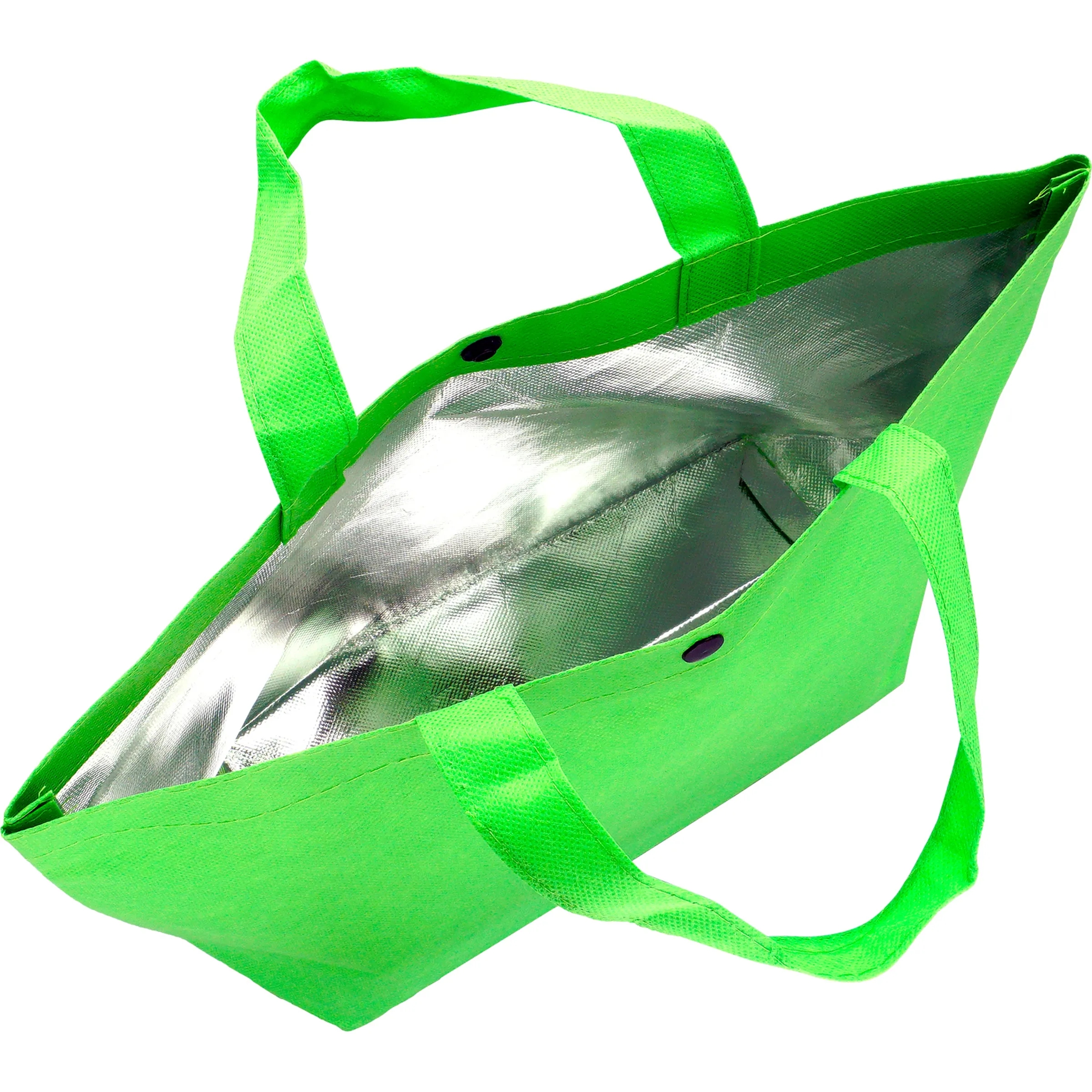 Snap Lunch Tote 15