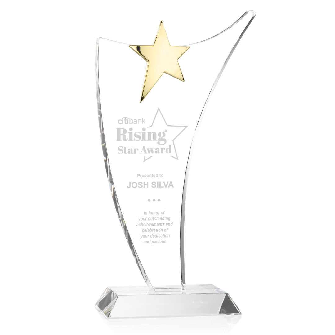 Atkinson Gold Star Award 3