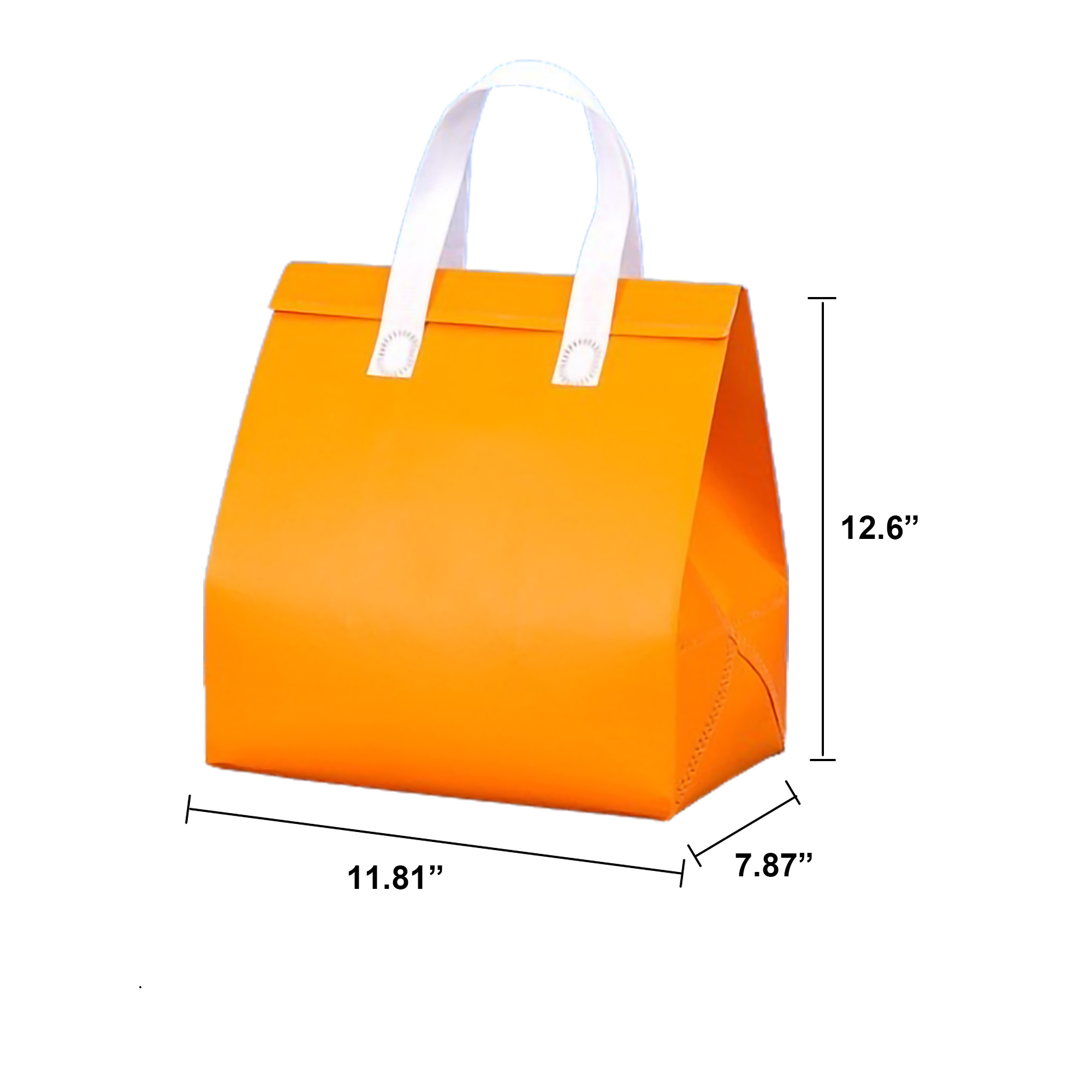 Waterproof Cooler Insulated Tote Bag MOQ50 3