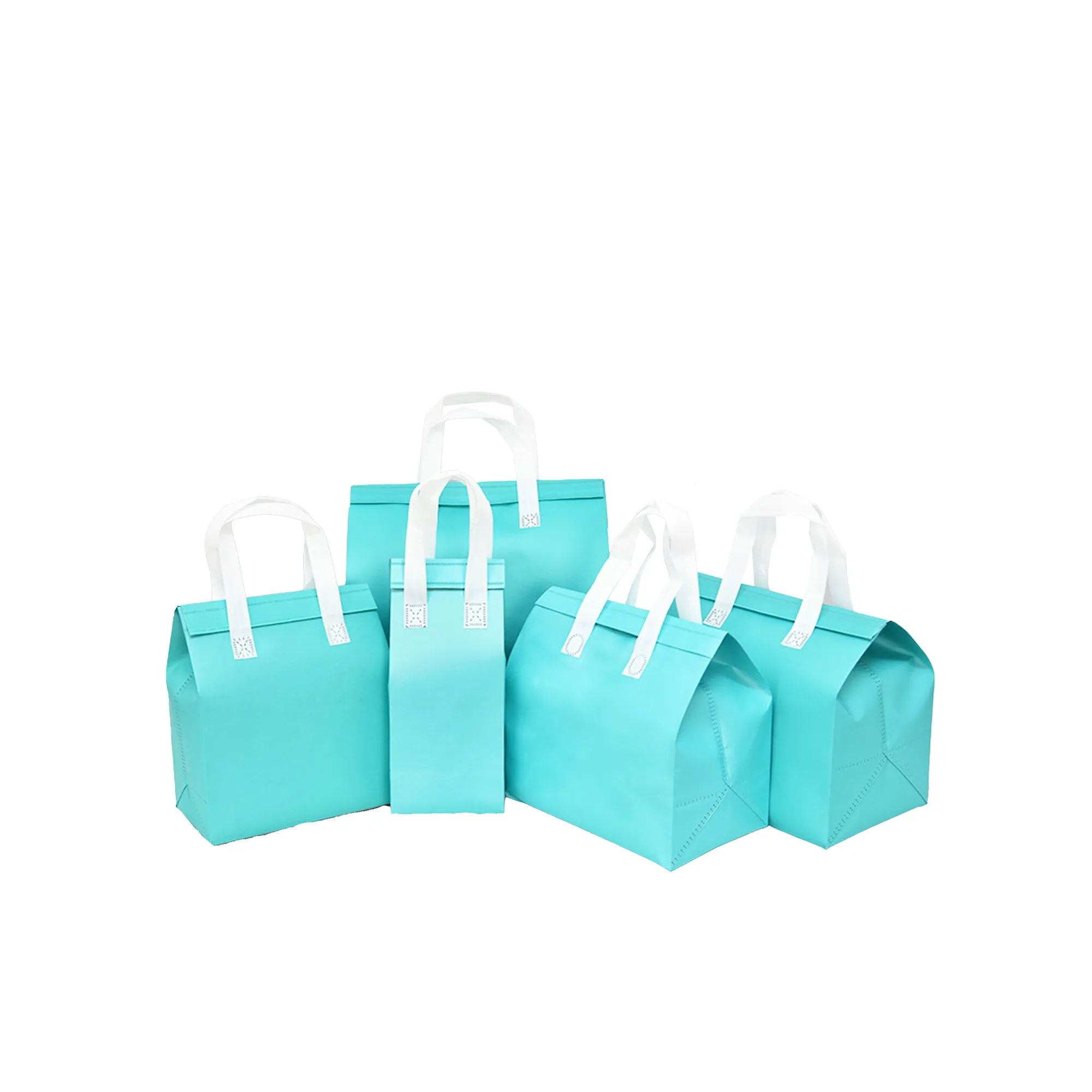 Insulated To-Go Bags 12