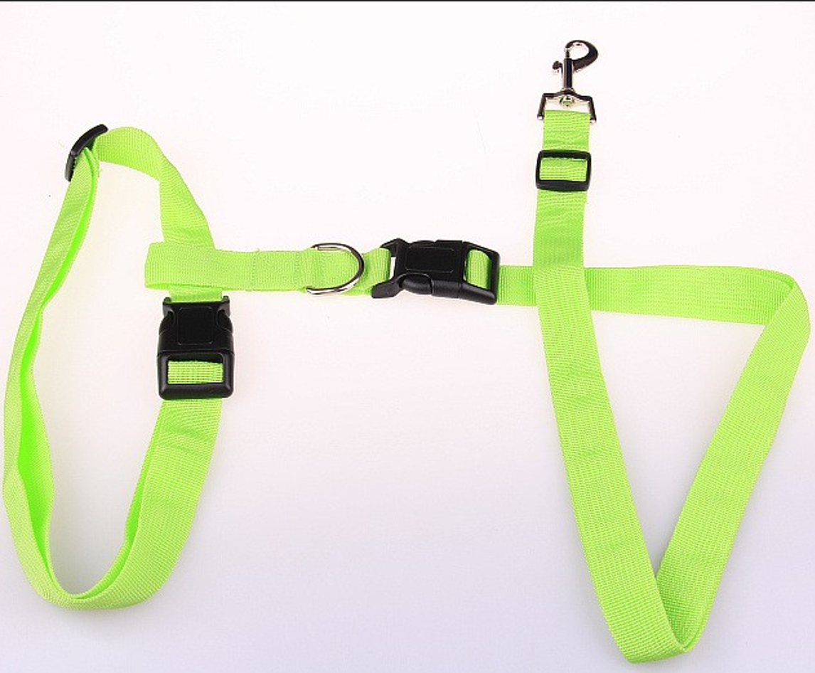 pet running leash 3
