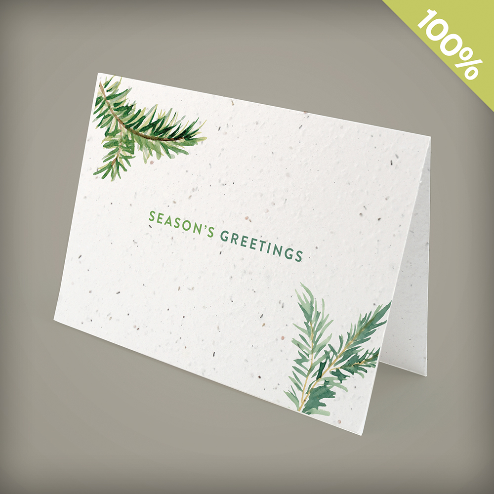 Evergreen Greetings Business Holiday Cards 1