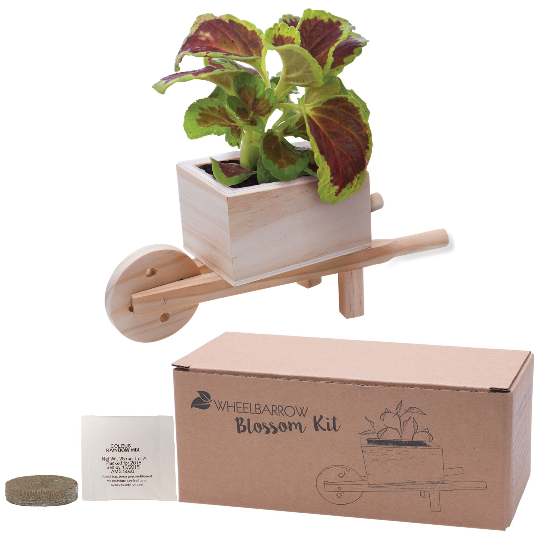 Wooden Wheel Barrow Blossom Kit 8