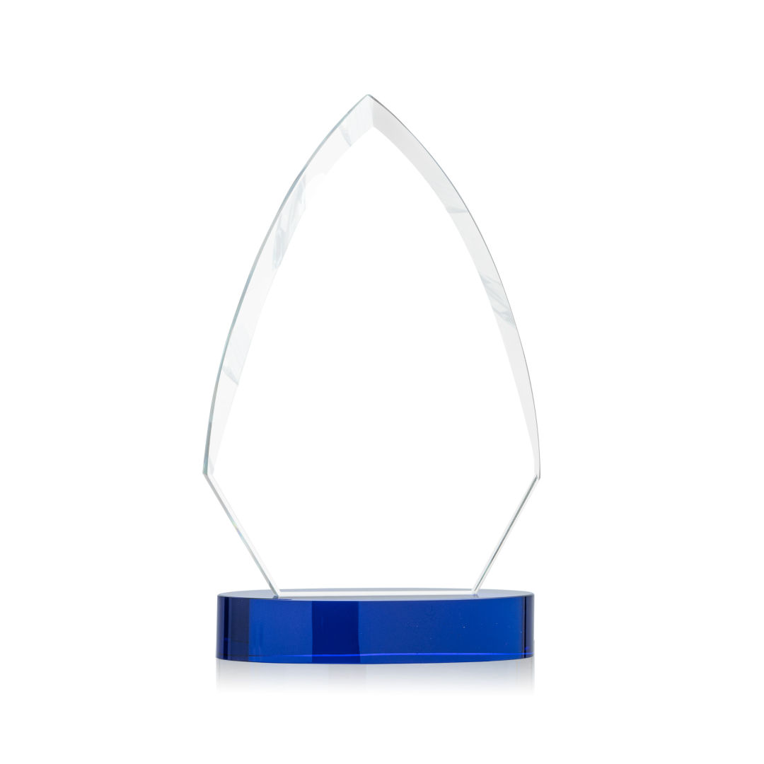 Idaho VividPrint™ Award - Blue 4