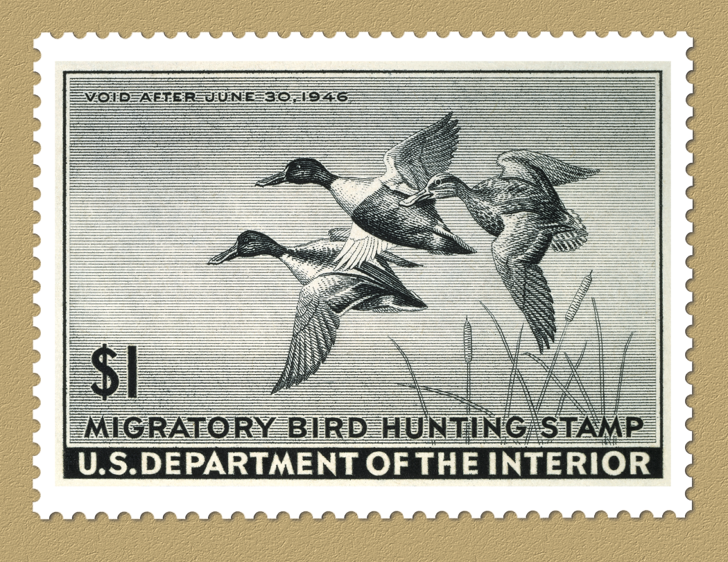 Triumph® Calendars Duck Stamps Calendar 14