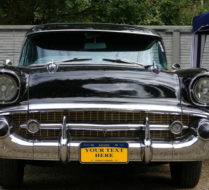 Custom License Plates (12" x 6") 4