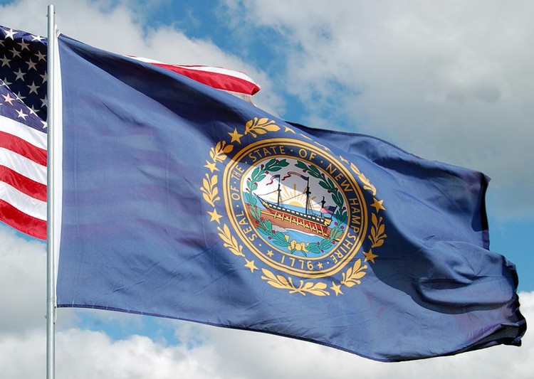 New Hampshire State Flag - 4' x 6' - Polyester 2