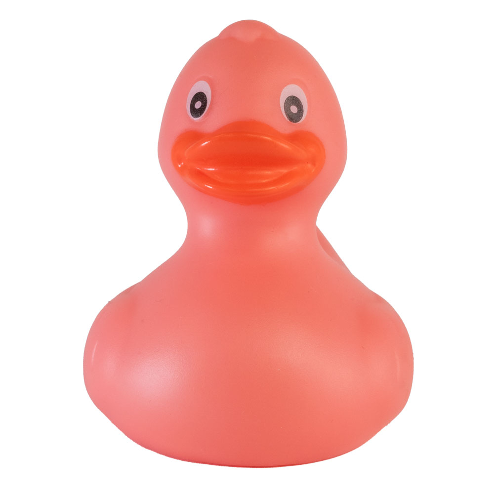 Rubber Duck 24