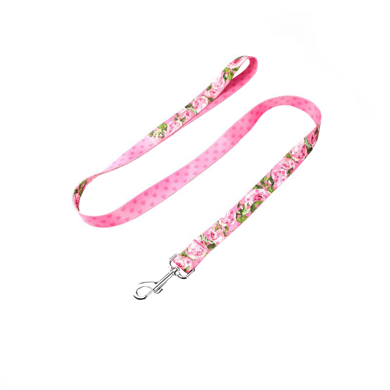 Adjustable Polyester Pet Leash with Metal Hook - Small 4