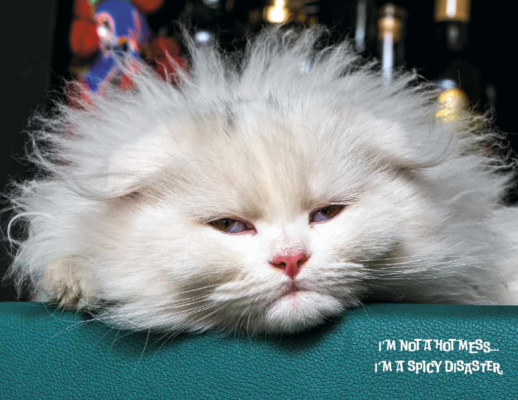 Good Value™ Pets with Attitude - Spiral Calendar 33