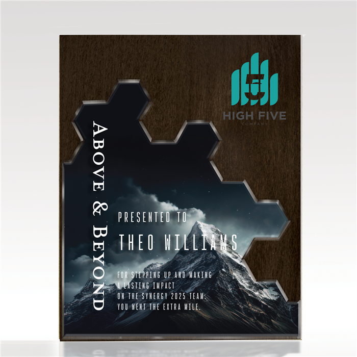 Fusion Plaque 49
