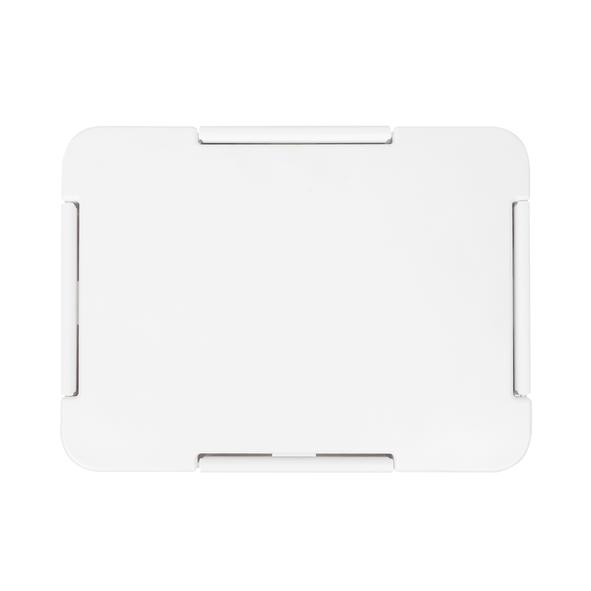 Flavor Fave Bento Box 2