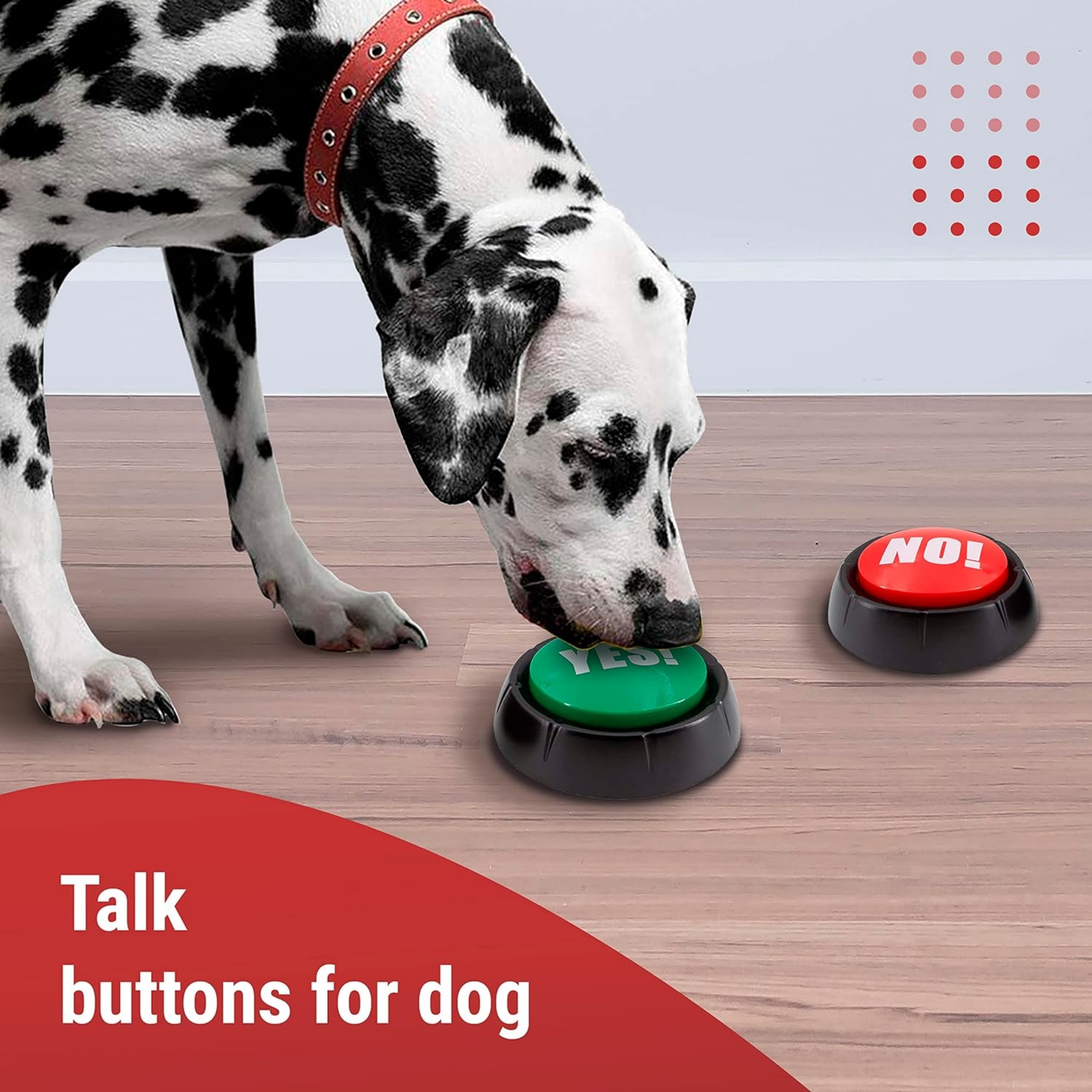 Yes and No Button With Sound 6