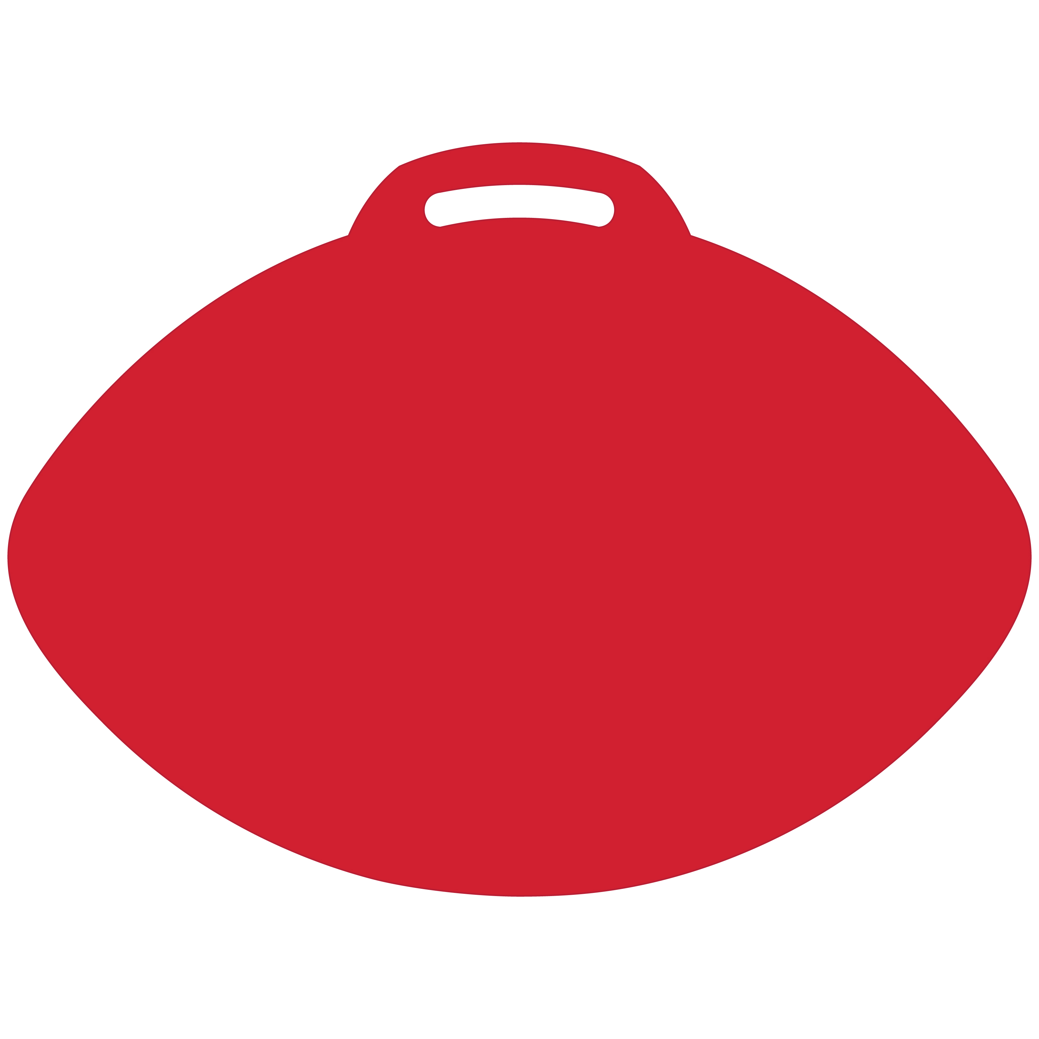Football-Shaped Vinyl Stadium Cushion (18") 20