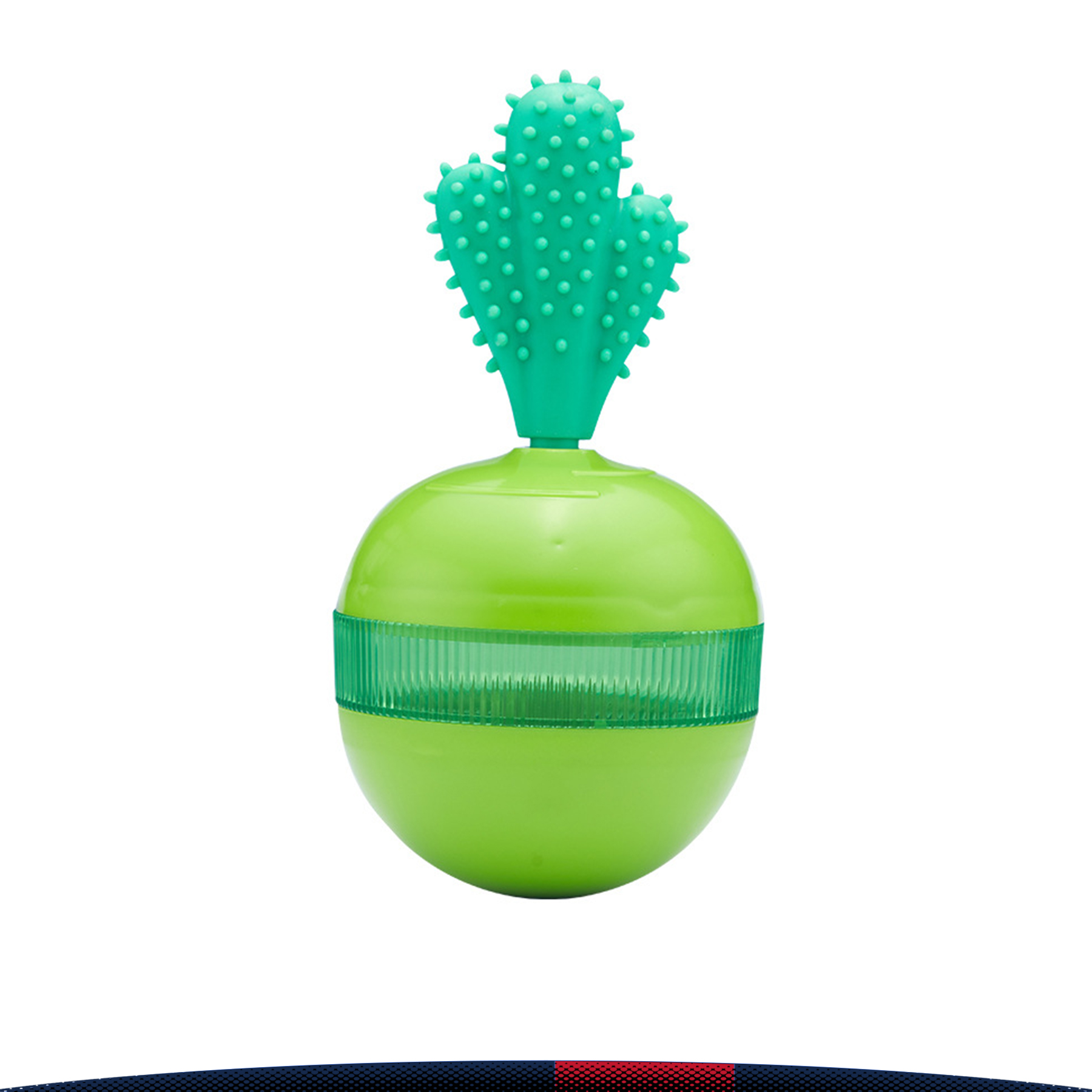Cactus Tumbler 4