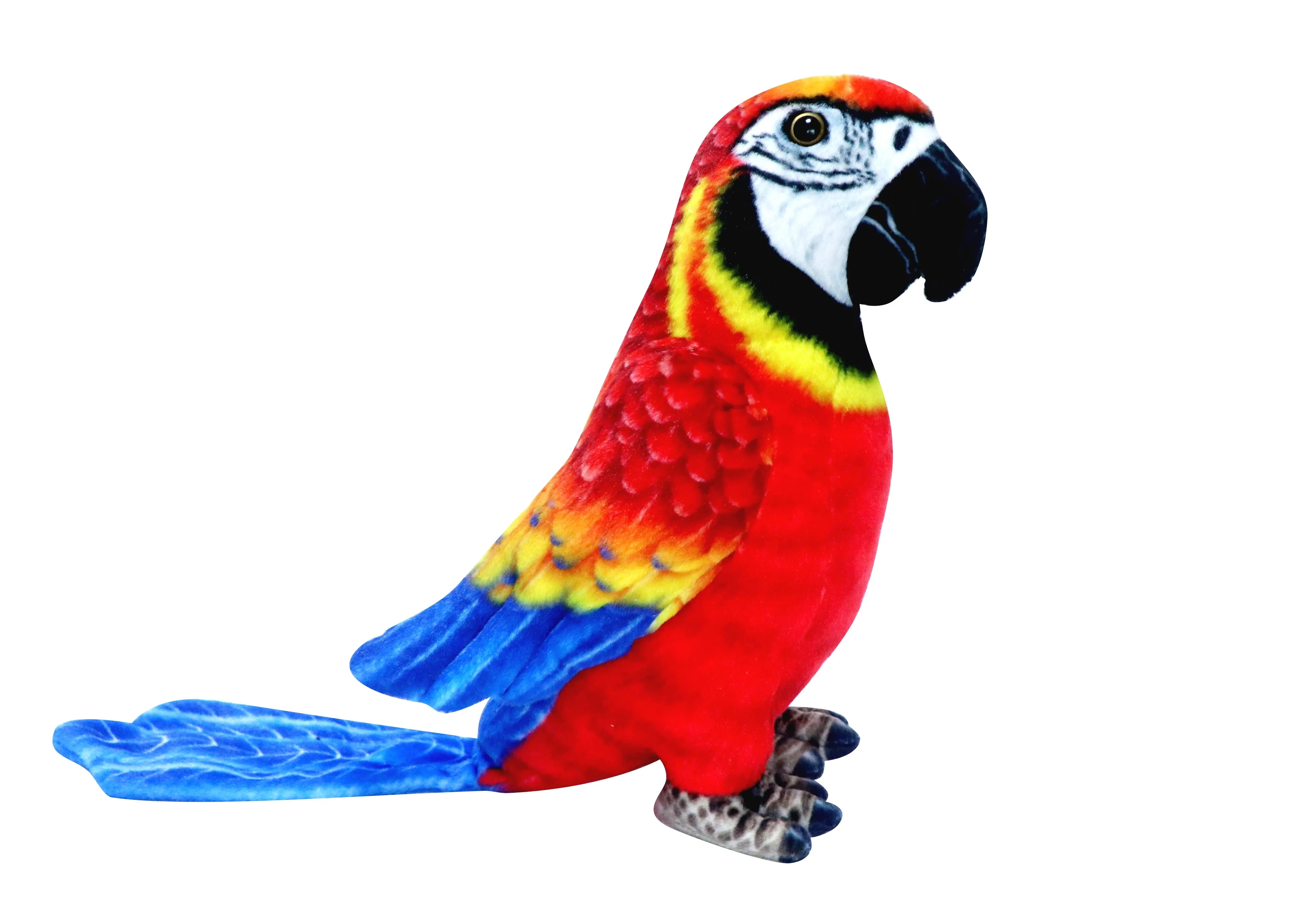 Red Parrot 2