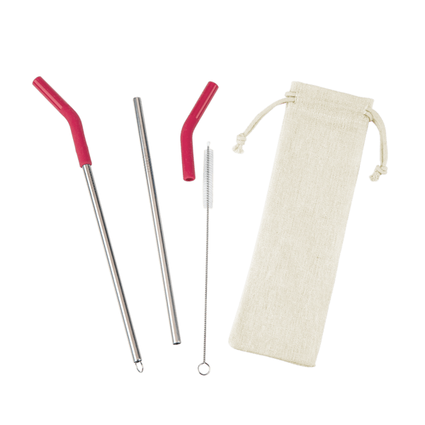 Reusable Stainless Steel Two Straw Set 42