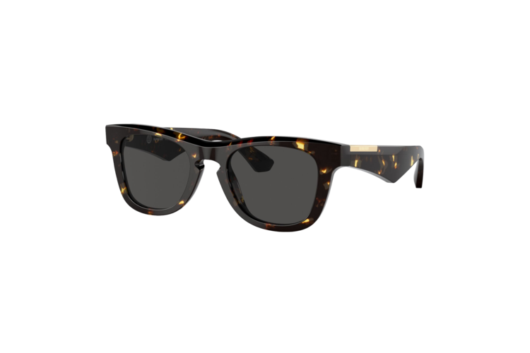 Burberry BE4426 Sunglasses 2
