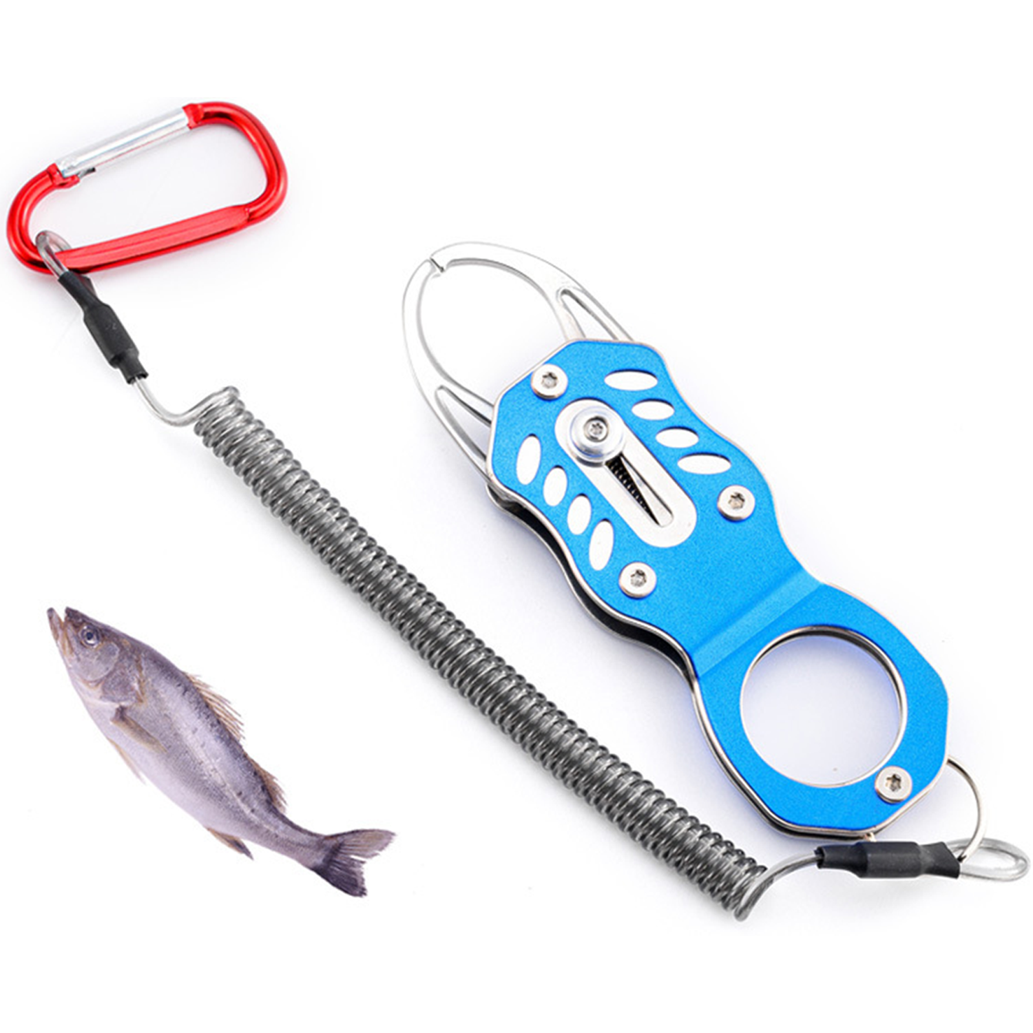 Stainless Steel Mini Telescopic Fish Gripper 5
