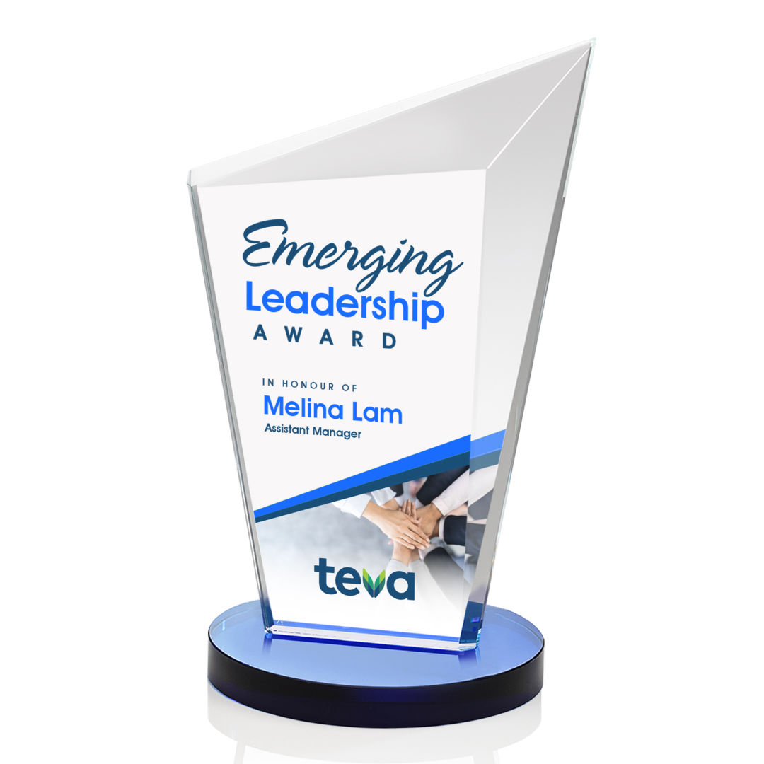 Wiltshire VividPrint™ Award - Blue 3