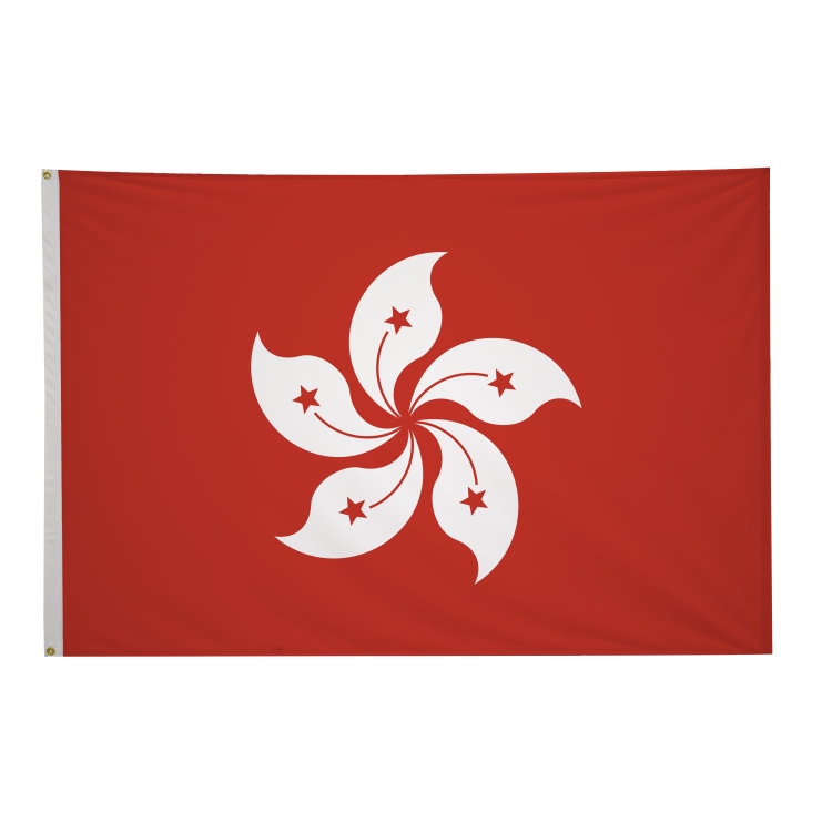 4' x 6' International Flags 226