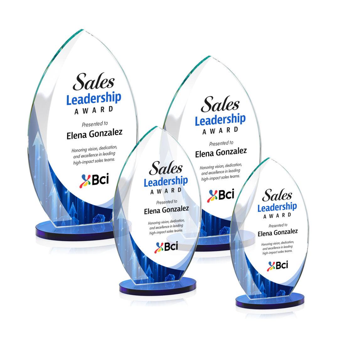 Windermere VividPrint™ Award - Blue