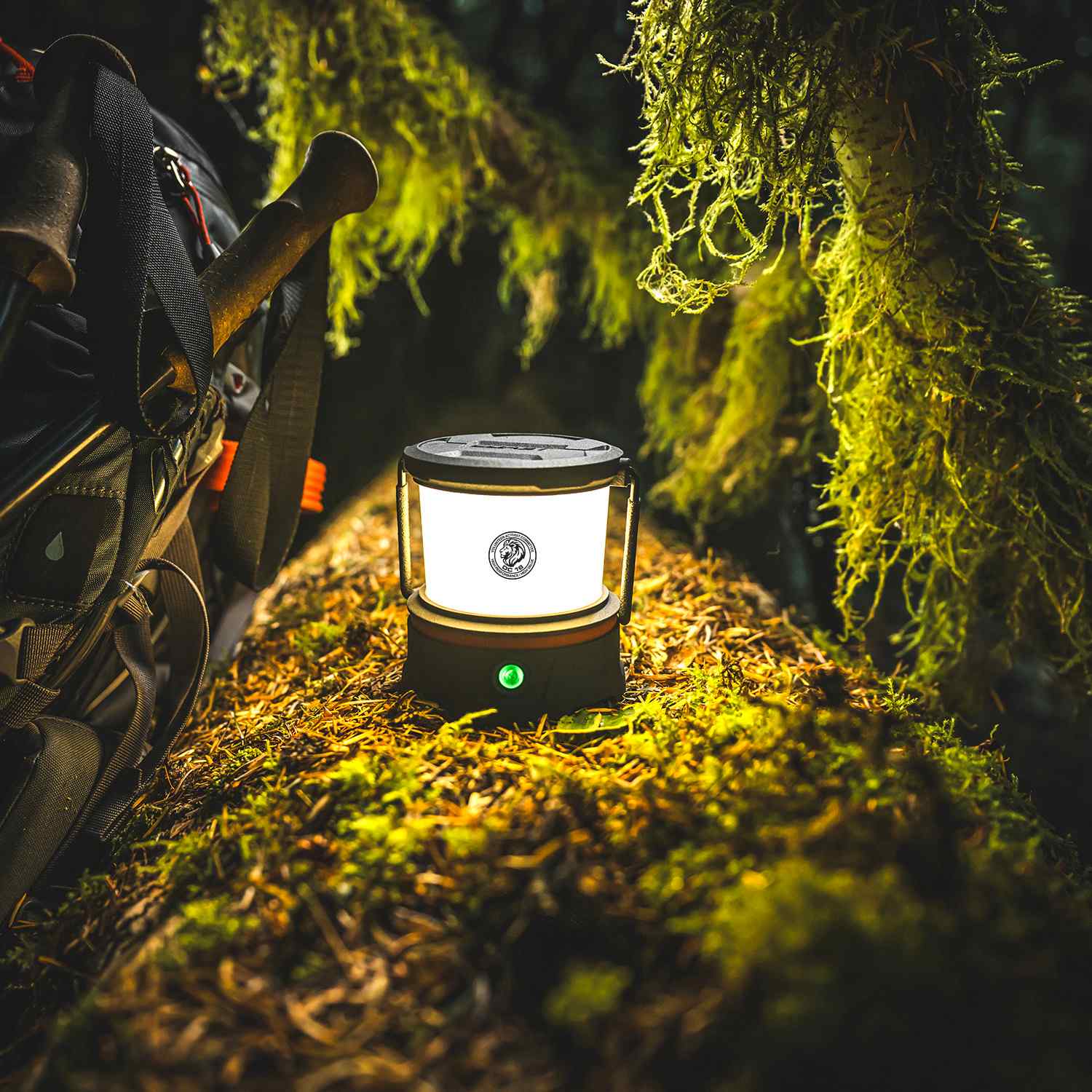 Coast® EAL10R RECHARGEABLE DUAL POWER LANTERN 12