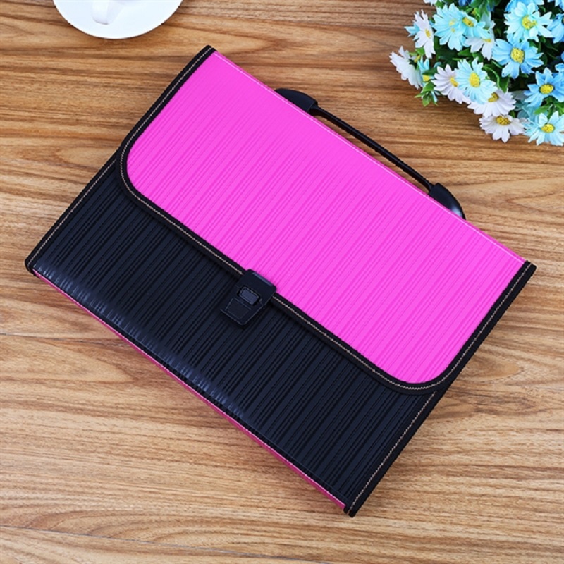 Expandable Accordion A4 File Folder with 13 Pockets 5