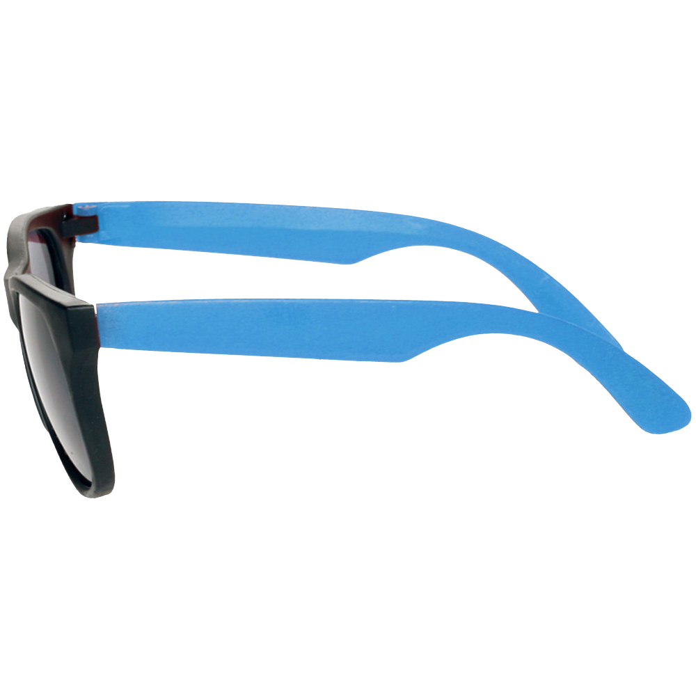 Two Tone Plastic Sunglasses 31