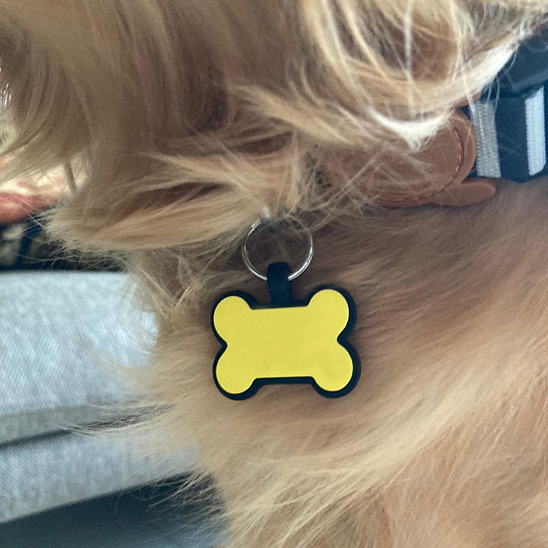 Bone Shape Pet ID Tag 2