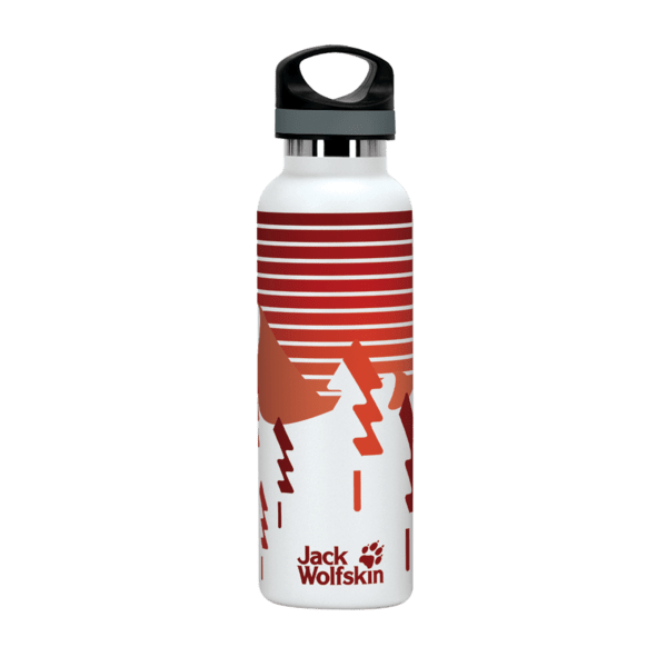 20 oz. Basecamp Tundra Bottle with Screw Top Lid 43