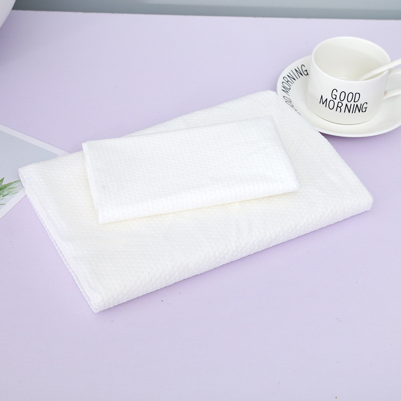 Compressed Towel 2
