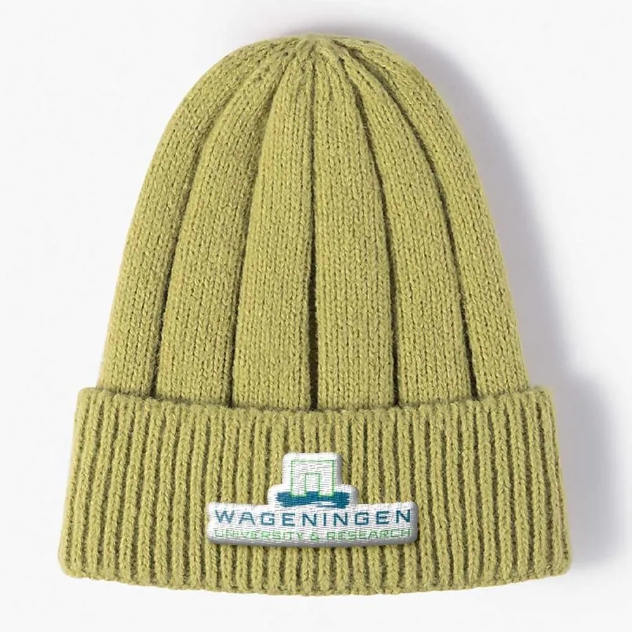 Splendid Polyester Beanies 48