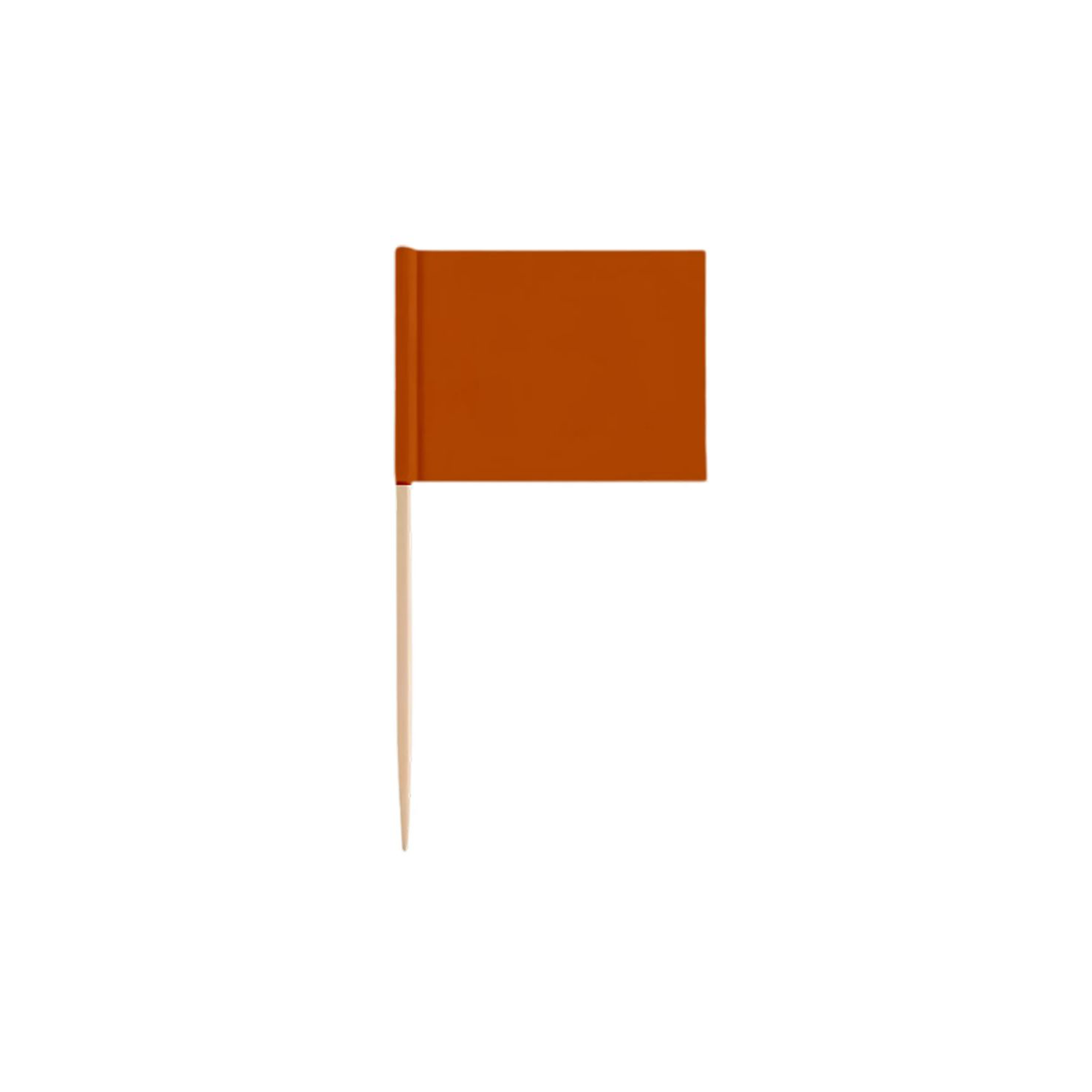 Eco-Friendly Food Decorative Flags 13